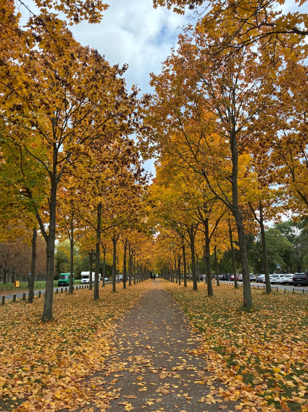 Sonbahar: Garip Bir&nbsp;Son